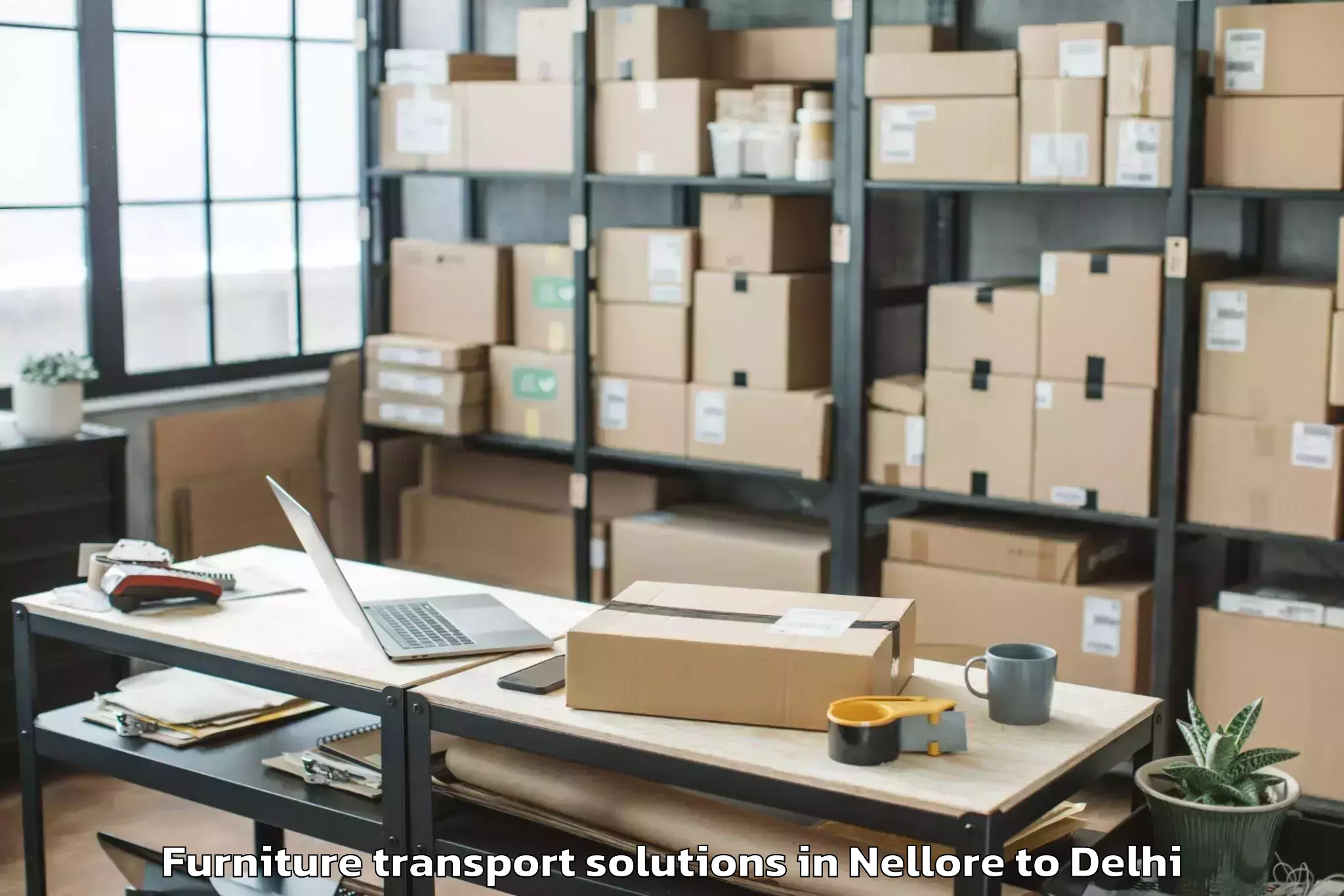 Book Nellore to Lodhi Road Furniture Transport Solutions